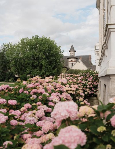 chateau-barthelemy-hydrangea
